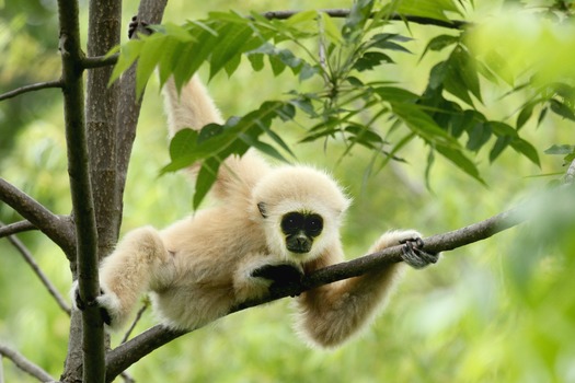 Cameron Park Zoo 05-09-16 02