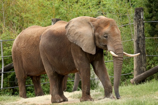 Cameron Park Zoo 05-09-16 64