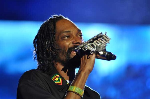 RNS-SNOOP-LION