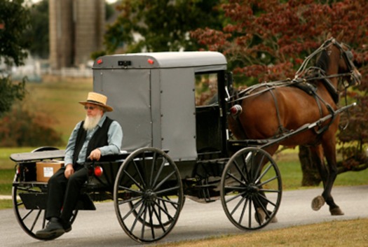 RNS AMISH ONEYEAR