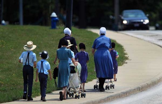 RNS-AMISH-GROWTH