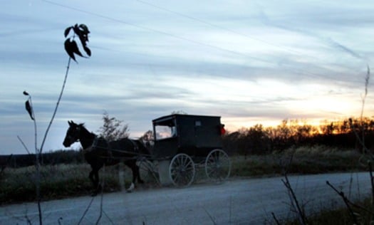 RNS MIDWEST AMISH