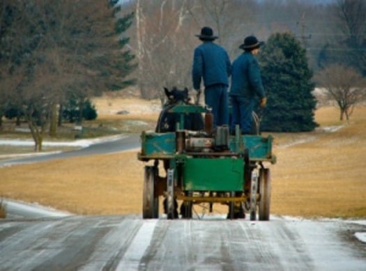 amish_men_at_work_3001