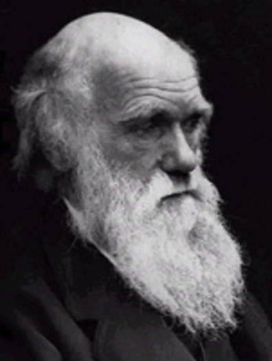 charles_darwin_l_2001