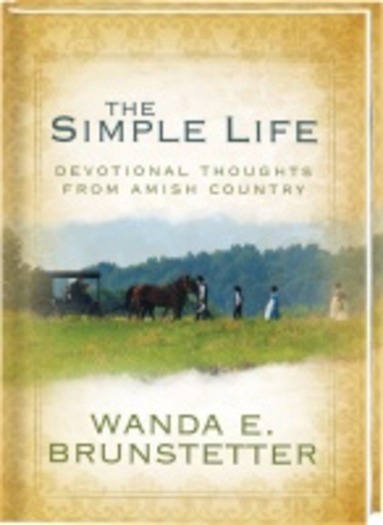 amish_novels_2001