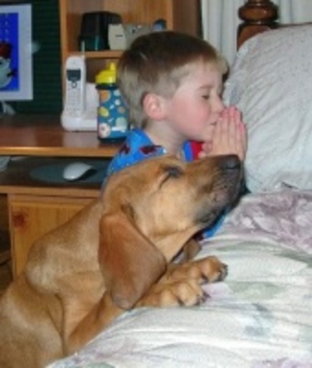 dogpray_2001