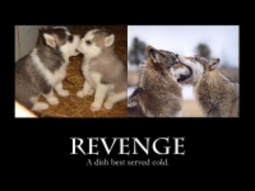 revenge_2001