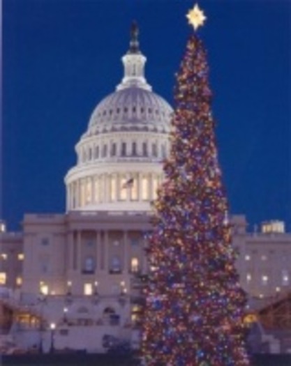 2008capitolchristmastree_small_200_011