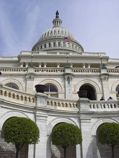 Capitol,_Washington,_D.C._USA12