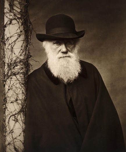 Charles Darwin K980123