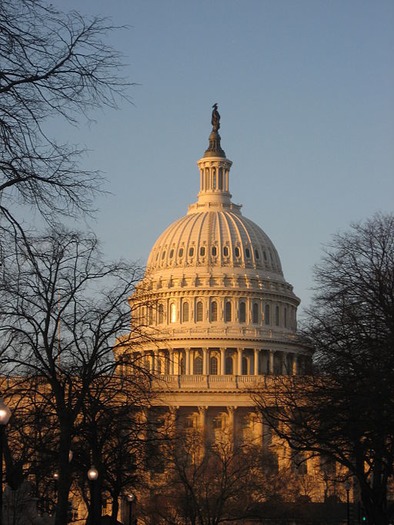 512px-Capitol_Dome_Washington_DC