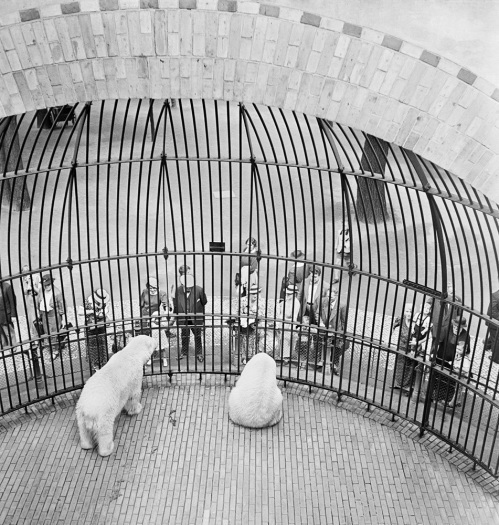 Vishniac_People-behind-bars-Berlin-Zoo