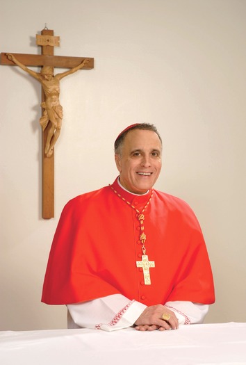 Hi resolution version of RNS-US-CARDINALS021313e.jpg