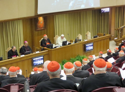 Hi resolution version of RNS-ROME-CARDINALS022414a.jpg