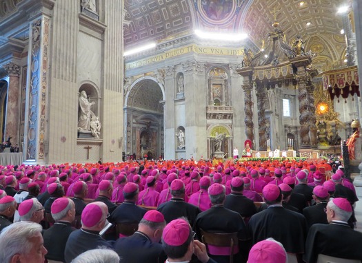 Hi resolution version of RNS-POPE-DISCRIMINATION022414a.jpg