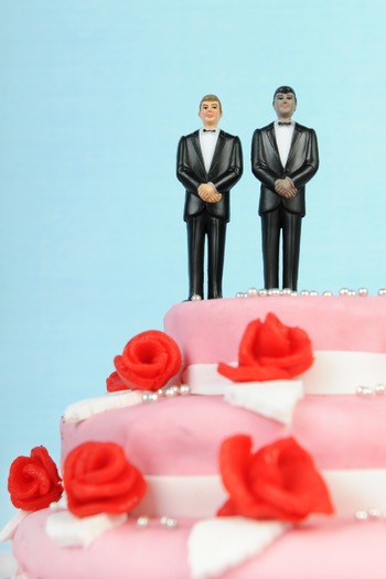 Gay wedding cake