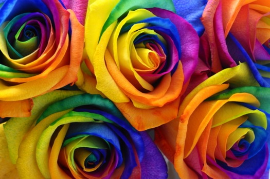 Rainbow flowers