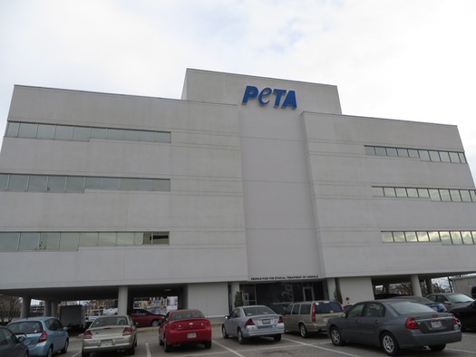 RNS-PETA-EUTHANASIA d