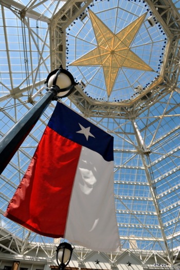 Texas state flag