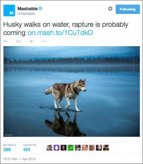 Slingshot-art_husky-on-water_040115