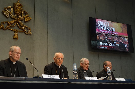 web RNS-POPE-SYNOD