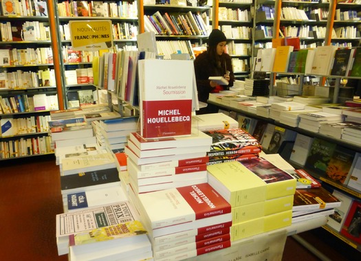 High resolution version of RNS-FRANCE-ISLAM011215a.jpg