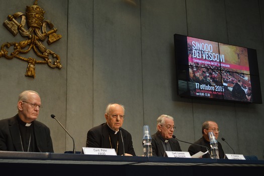 PRINT RNS-POPE-SYNOD