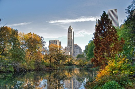 web RNS CENTRAL PARK