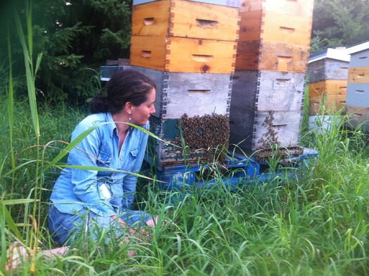 PRINT RNS-BEES-JEWISH a