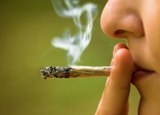 RNS MARIJUANA BIBLE