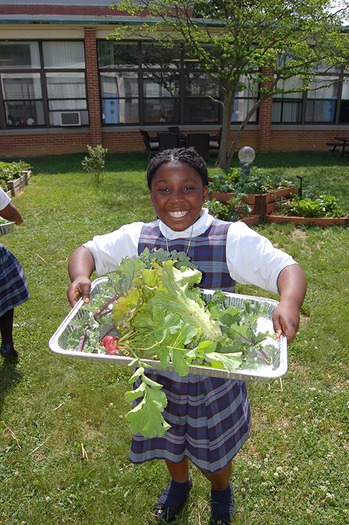 web RNS-DIVERSE-SCHOOL c