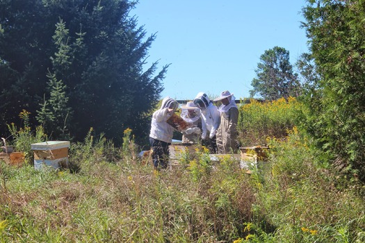PRINT RNS-BEES-JEWISH c
