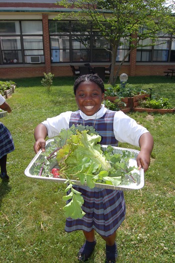 PRINTRNS-DIVERSE-SCHOOL c