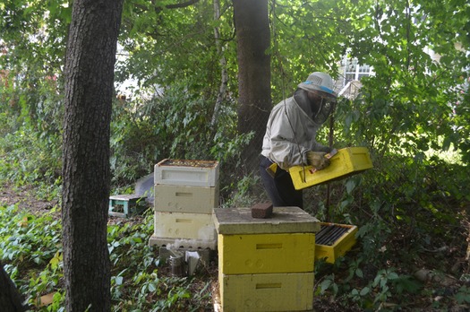 web RNS-BEES-JEWISH e