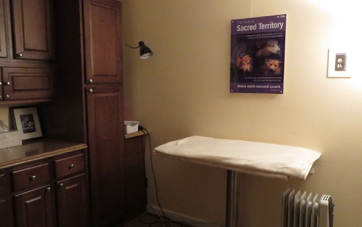 High resolution version of RNS-PETA-EUTHANASIA031215e.jpg