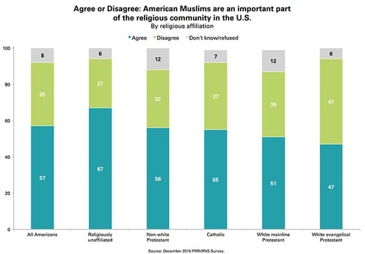 web RNS-AMERICAN-MUSLIMS a