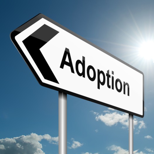 Adoption