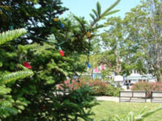 xmas tree