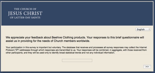 garment survey