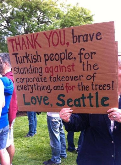 Seattle in solidarity with Gezi Park