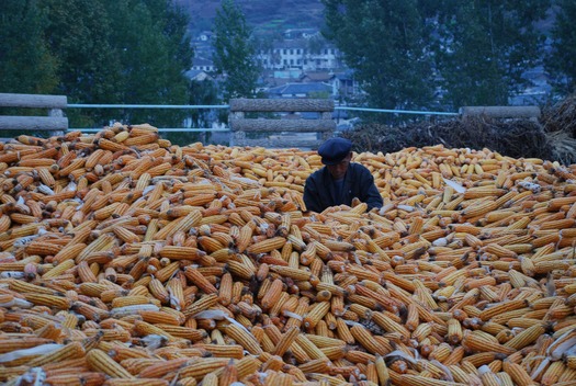 NKFood
