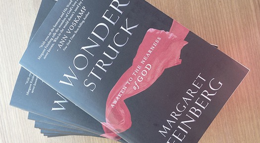 WonderstruckHeader