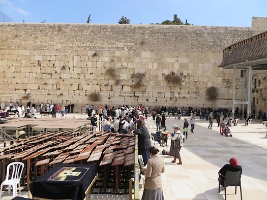 fence separating men and women western wall