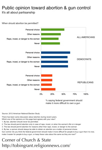 ABORTION GUNS