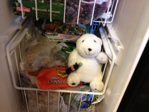 11.9_Polar_Bear_in_Freezer