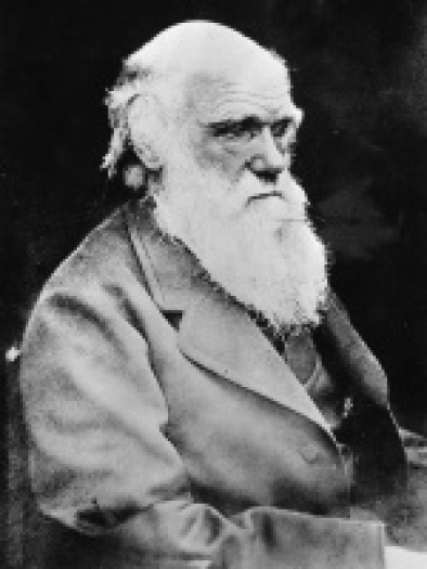 darwin_200