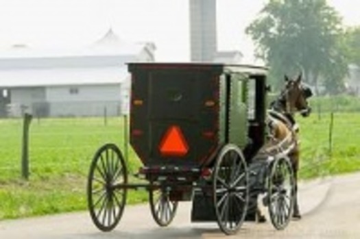 amish_buggy_200