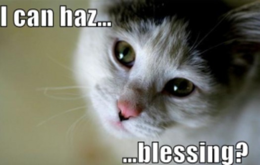 lolcat_blessing_300