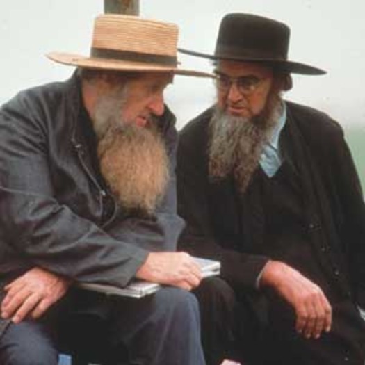 Beard-AMISH2