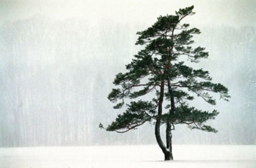 NNS WINTER RELIGION2.JPG
